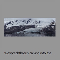 Weyprechtbreen calving into the sea